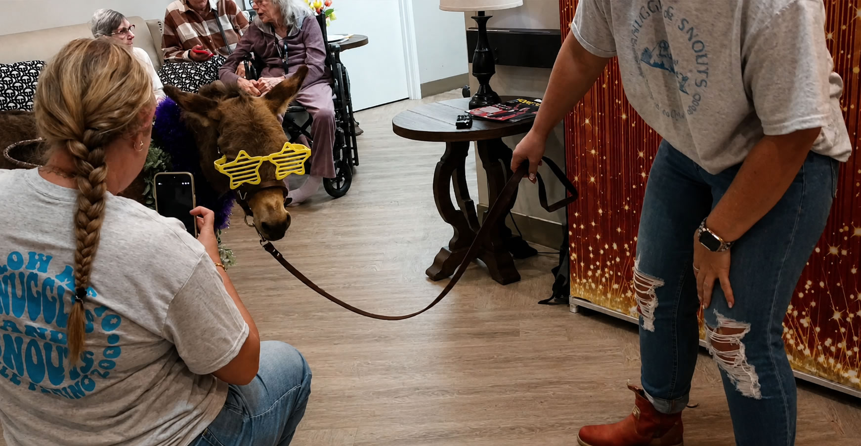 A person taking a photo of Walter the mule wearing yellow glasses and a purple boa